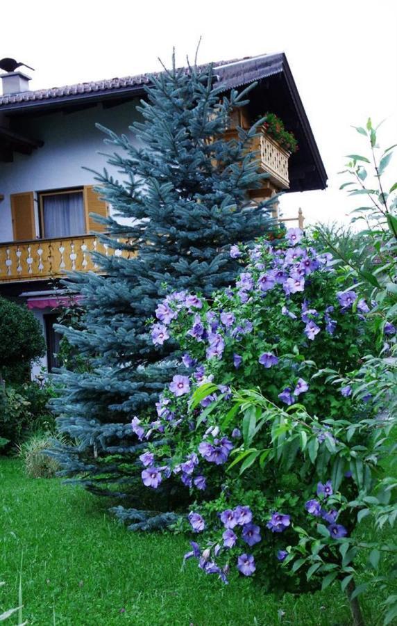 Gaestehaus Loedermann Garmisch-Partenkirchen Exteriér fotografie